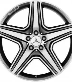 Mercedes M-Class R20 (A1664012202)