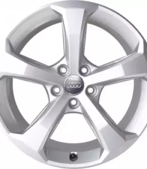Audi Q5 R18 (80A601025C)