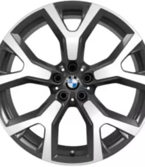 BMW X7 G07 R21 (36116885141)