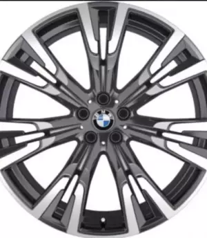 BMW X7 G07 R22 (36116885143, 36116885462)