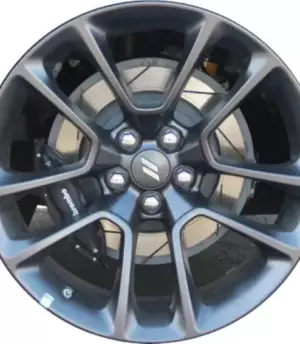 Dodge Charger R20 (6TE82MALAA Gr)