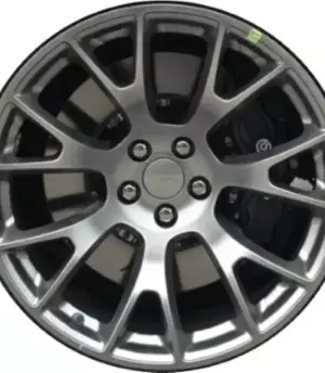 Dodge Charger R20 (6UQ25MALAA)
