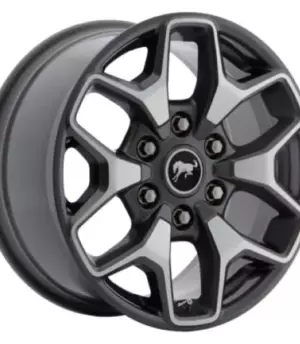Ford Bronco R17 (5864408, M2DC1007N1A, M2DZ1007N)