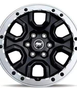 Ford Bronco R17 (M2Dz1007A)