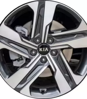 Kia Sorento R19 (52910-P2310)