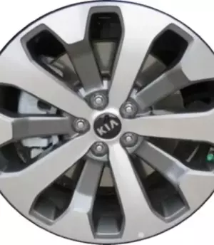 Kia Telluride R20 (52910-S9310)