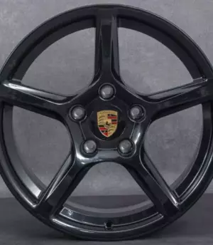 Porsche 718 Boxster R18 (982601025M, 982601025N)