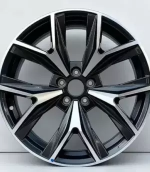 Tenet T7 R19 (203000566AA)