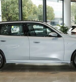 BMW X3 G45 R20 (5A6F112, 5A6F113) 2